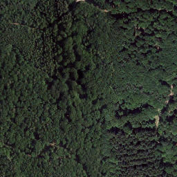 Satellite imagery of Bornberg, DE
