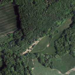 Satellite imagery of Rothenbühl, DE