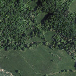 Satellite imagery of Rothenbühl, DE