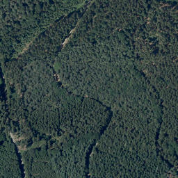Satellite imagery of Kohlebuckel, DE