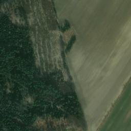 Satellite imagery of Kopaniny [Výkleky], CZ