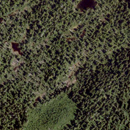Satellite imagery of Mount Crucil, CA