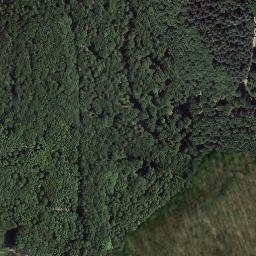 Satellite imagery of Bornberg, DE