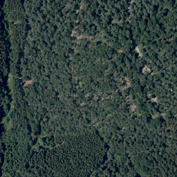 Satellite imagery of Fichtelberg, DE