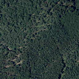 Satellite imagery of Fichtelberg, DE