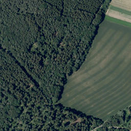 Satellite imagery of Nameless Point, DE