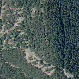 Satellite imagery of Hohwald, DE