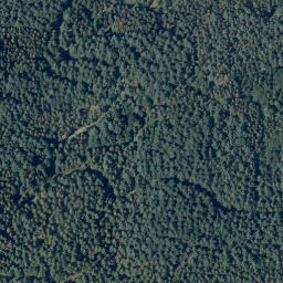 Satellite imagery of Hohwald, DE