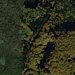 Satellite imagery of U Svícnové jedle [Bělá nad Radbuzou-Pleš], CZ