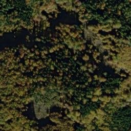 Satellite imagery of U Svícnové jedle [Bělá nad Radbuzou-Pleš], CZ