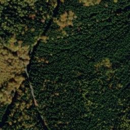 Satellite imagery of U Svícnové jedle [Bělá nad Radbuzou-Pleš], CZ