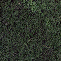 Satellite imagery of Sellberg, DE