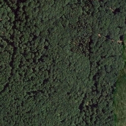 Satellite imagery of Sellberg, DE