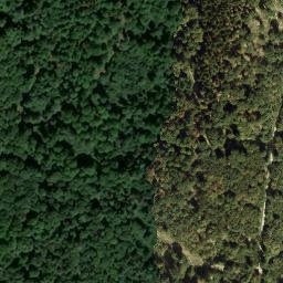 Satellite imagery of Igelborner Höhe, DE