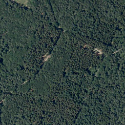 Satellite imagery of Nameless Point, DE