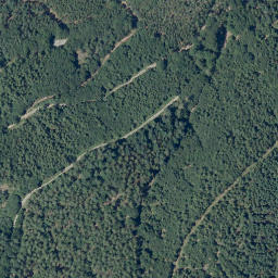 Satellite imagery of Hohwald, DE