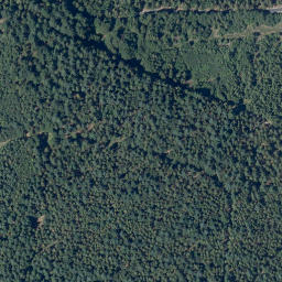 Satellite imagery of Hohwald, DE