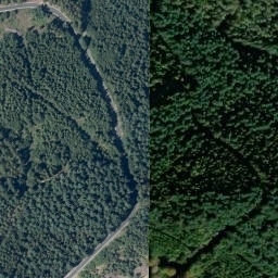 Satellite imagery of Hohwald, DE
