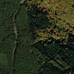 Satellite imagery of U Svícnové jedle [Bělá nad Radbuzou-Pleš], CZ