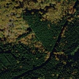 Satellite imagery of U Svícnové jedle [Bělá nad Radbuzou-Pleš], CZ