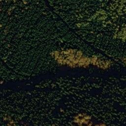 Satellite imagery of U Svícnové jedle [Bělá nad Radbuzou-Pleš], CZ