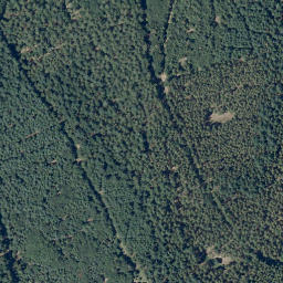 Satellite imagery of Hohwald, DE