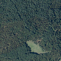 Satellite imagery of Hohwald, DE