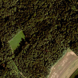 Satellite imagery of Spitzelberg, DE