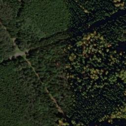 Satellite imagery of U Svícnové jedle [Bělá nad Radbuzou-Pleš], CZ