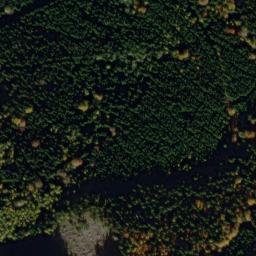 Satellite imagery of U Svícnové jedle [Bělá nad Radbuzou-Pleš], CZ