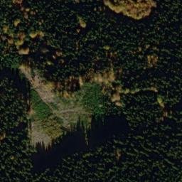 Satellite imagery of U Svícnové jedle [Bělá nad Radbuzou-Pleš], CZ
