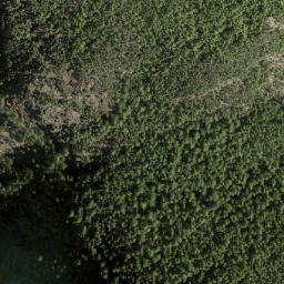 Satellite imagery of Domett Point, CA