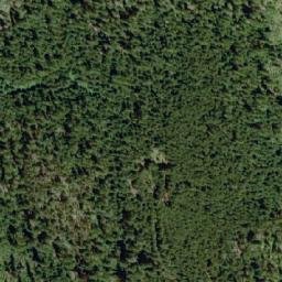 Satellite imagery of Mount Ferroux, CA
