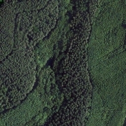 Satellite imagery of Schloßbusch, DE
