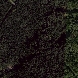 Satellite imagery of Plešský vrch [Bělá nad Radbuzou-Pleš], CZ