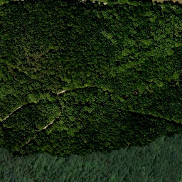 Satellite imagery of Schloss Wildberghof, DE