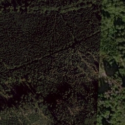 Satellite imagery of Plešský vrch [Bělá nad Radbuzou-Pleš], CZ