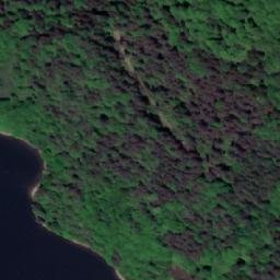 Satelita