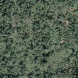 Satellite imagery of Collishaw Point, CA