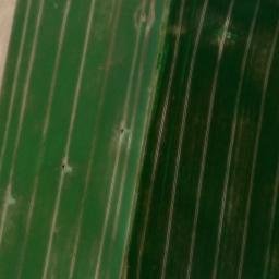Satellite imagery of 0244002 - A, BE