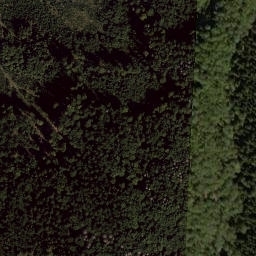 Satellite imagery of Plešský vrch [Bělá nad Radbuzou-Pleš], CZ