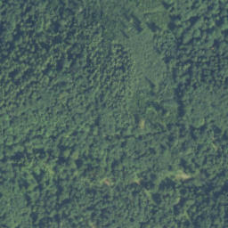 Satellite imagery of Słupek graniczny XIX w., SK