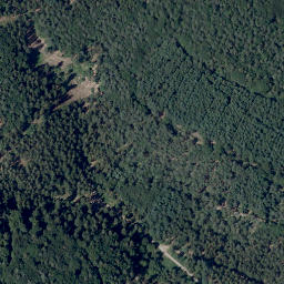 Satellite imagery of Sensbacher Höhe, DE