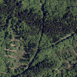 Satellite imagery of Stangenberg, DE