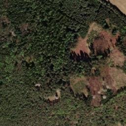 Satellite imagery of Konský, CZ