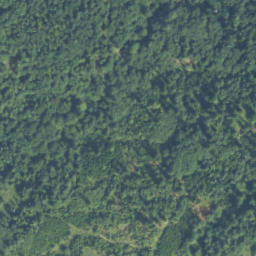 Satellite imagery of Słupek graniczny XIX w., SK
