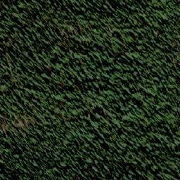 Satellite imagery of Mount Ferguson, CA