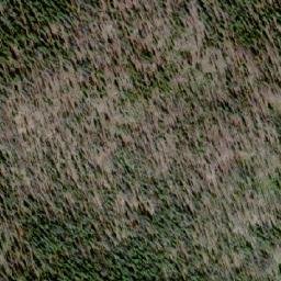 Satellite imagery of Mount Ferguson, CA