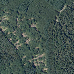 Satellite imagery of Kinzert, DE