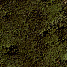 Satellite imagery of Koppe, DE
